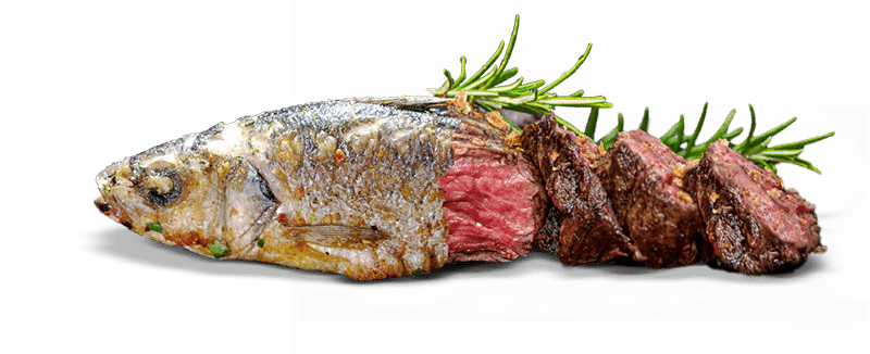fleischfisch